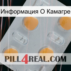 Информация О Камагре 24